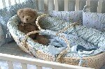 Bedding & Linens