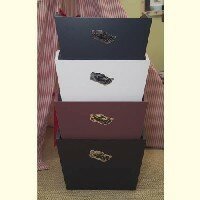 Auto Storage Bins