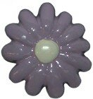 Daisy Knob - Hyacinth