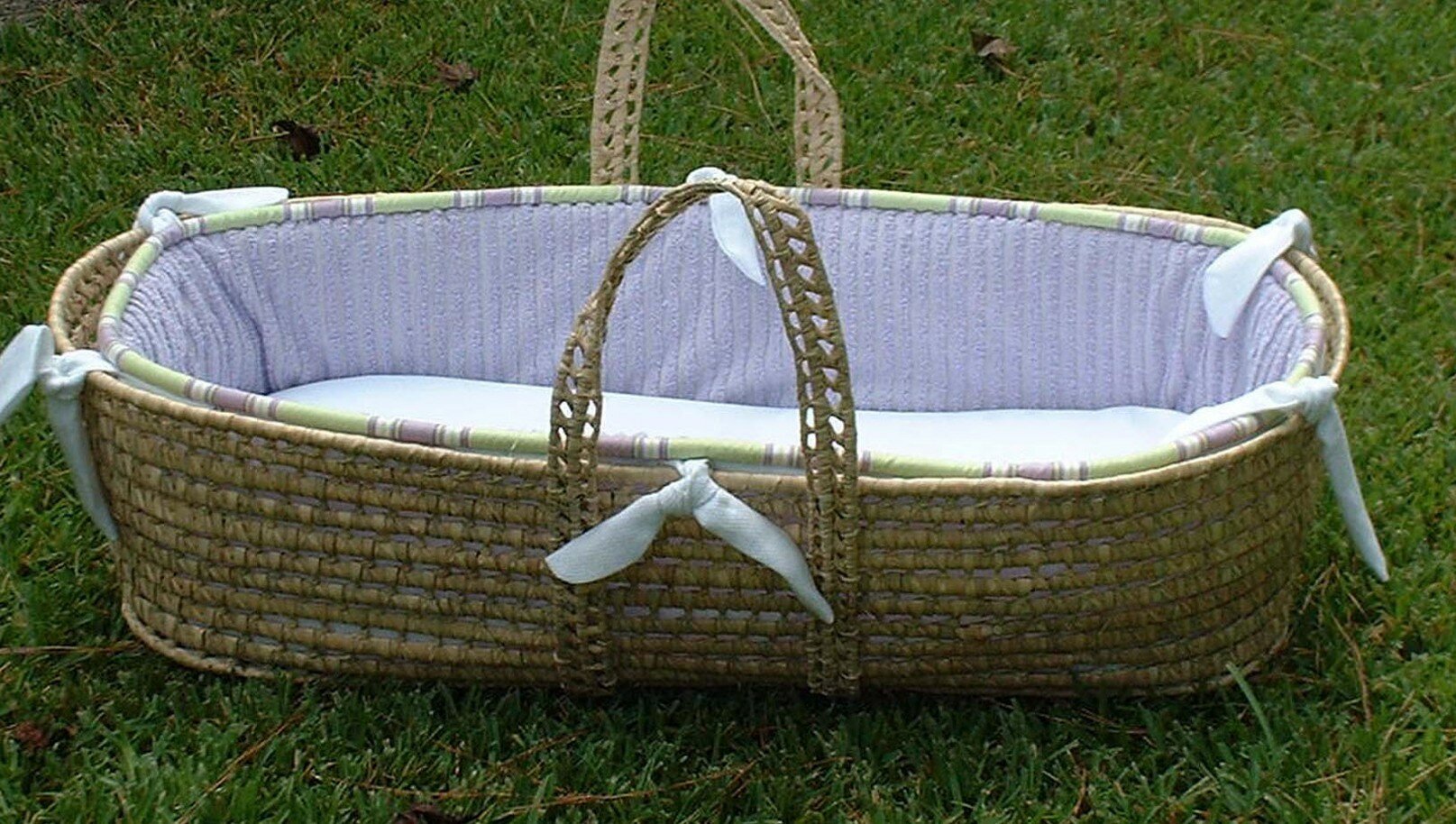 Danielle Moses Basket