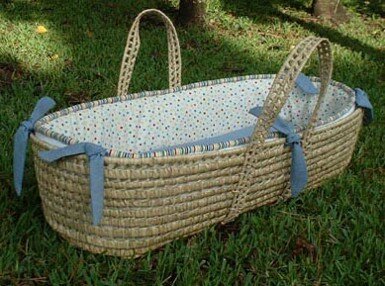 Bailey Moses Basket