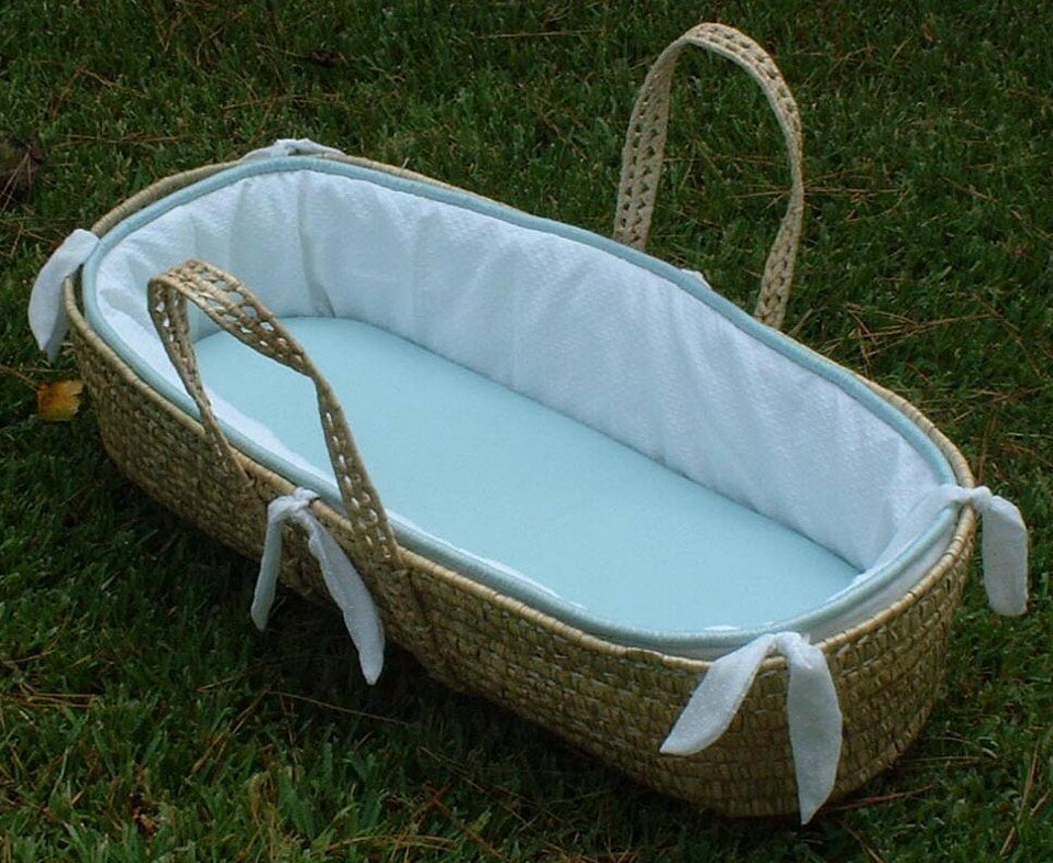 Alex Moses Basket