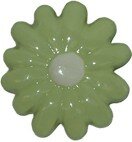 Daisy Knob - Pale Ivy